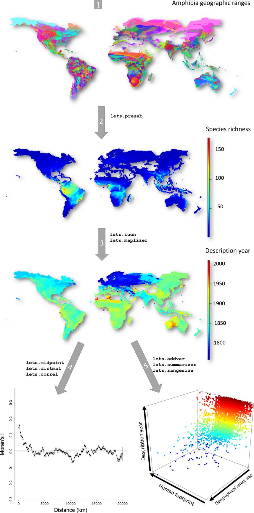 Figure from the letsR article showing global amphibian range maps, species richness, description year and analytical examples